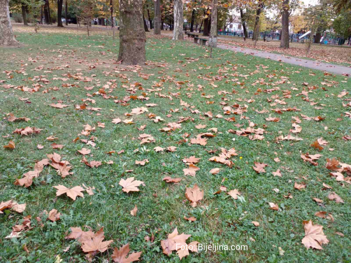 bijeljina__jesen_u_gradskom_parku__foto_27.jpeg