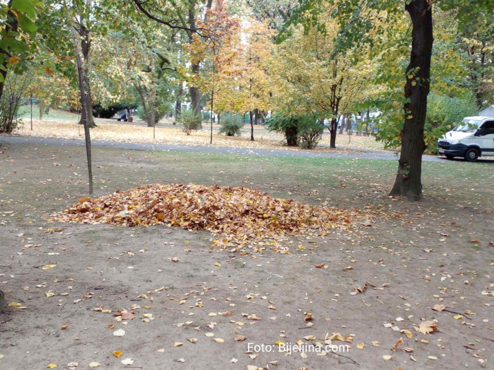 bijeljina__jesen_u_gradskom_parku__foto_88.jpeg