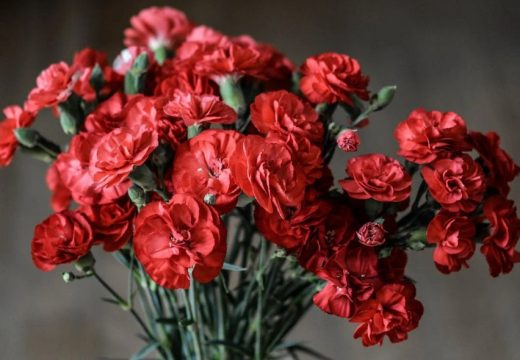 Kriza se osjeti i u cvjećarama: Građani Srpske uzimaju sve manje bukete