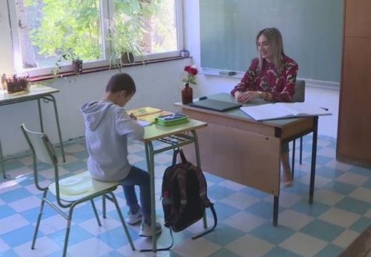 Mihajlu je učiteljica i predavač i drug iz klupe (Video)