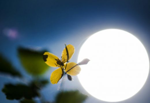 Narednih dana suvo, sunčano i toplo