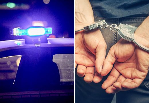 Novo hapšenje u Subotici zbog držanja zaštićenih životinja