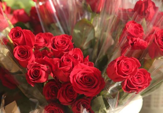 Ovo su pravila za darivanje buketa, bitno je da bude neparan broj cvjetova