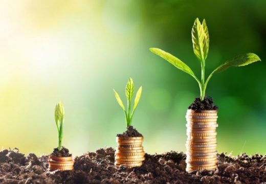 Ministarstvo poljoprivrede: Isplaćeni podsticaji u poljoprivredi za mjere podrške prenosu znanja i vještina