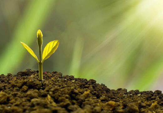 “Agrosim 2023” – cilj simpozijuma uvođenje IT tehnologija u poljoprivredu (Video)