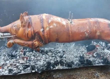 Prase spremno za pečenje isplivalo iz Save