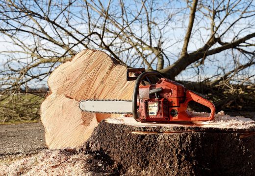 Slaba potražnja i manjak radnika smanjili proizvodnju šumskih sortimenata