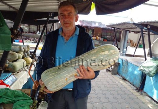 Slobodanove bundeve stigle na pijacu (Foto)