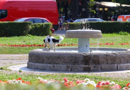 Sutra toplije, temperatura ide i do 28 stepeni Celzijusovih
