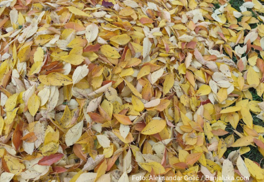 U BiH sutra toplo, uveče naoblačenje