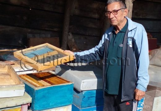 Varoa dodatno ugrožava pčelinjake