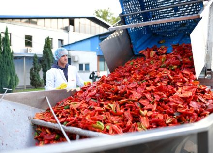 Vitaminka domaćin u obilasku proizvodnog pogona (Foto)