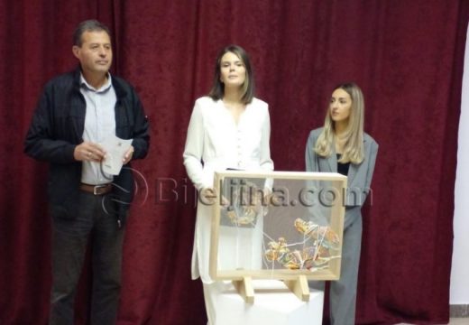 Bijeljina: Otvorena izložba tapiserija i crteža pod nazivom “Nit”