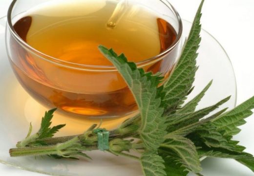 Blagotvorno djeluje na zdravlje: Koliko dugo se smije piti čaj od koprive, ljekovita svojstva i nuspojave