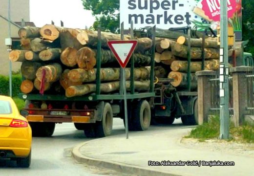 Ovo su novi direktori: Smijenjeni direktori šumskih gazdinstava u Višegradu i Rudom