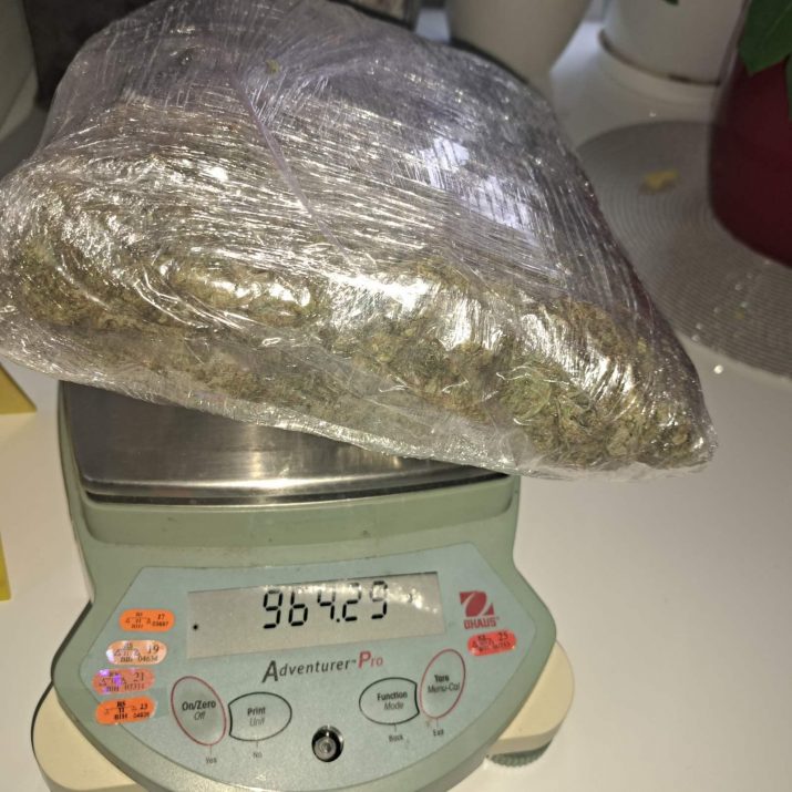 potok_donio_kilogram_marihuane__foto_75.jpeg