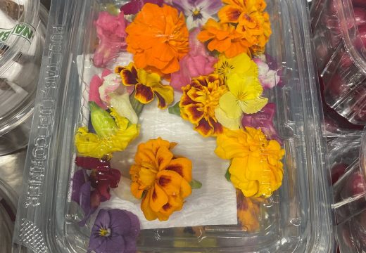 Ja sam milioner, samo proljeće da dođe: U Beogradu se prodaje jestivo cvijeće, kilogram 1.000 evra