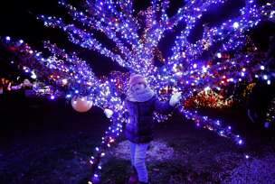 Božićna svjetla na imanju porodice Salaj