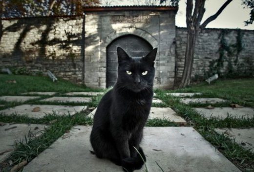 Evo nekoliko najzastupljenijih: U šta sve ljudi vjeruju, koja su najčešća sujevjerja?