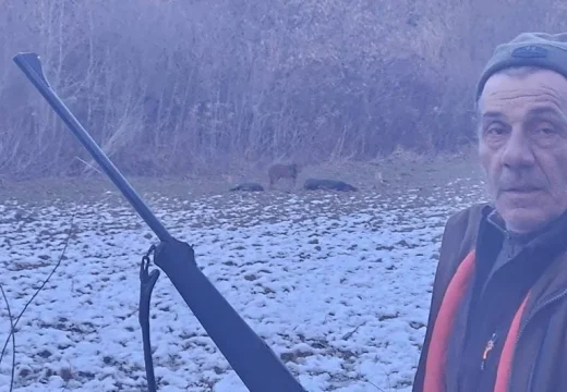 Nesvakidašnji odstrel u srbačkom lovištu: Sa dva hica pogodio tri divlje svinje