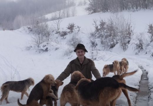 Mišo uzgaja lovačke pse u BiH: Jednog ljubimca je prodao za čak 5.000 evra (Video)