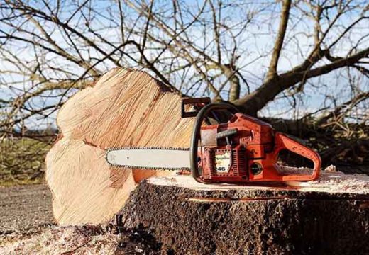Šume Srpske izgubile milione maraka: Prijeti se smjenama i smanjenjem plata