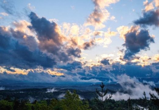 Živa na termometru skače do broja 16: Proljećne boje usred zime rastjeruju oblaci i kiša