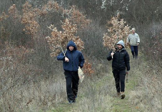 Sutra Badnji dan: Ovo su vjerovanja i običaji