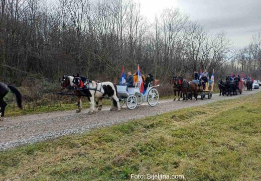 Velika Obarska: Sve više mladih uključeno u sječenje badnjaka (Foto)