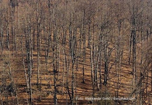 Još jedan sunčan dan pred nama: Maksimalna dnevna temparatura i do 11 stepeni