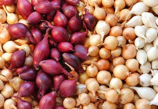 Impresivna namirnica: Evo šta se događa s vašim tijelom ako jedete luk svaki dan