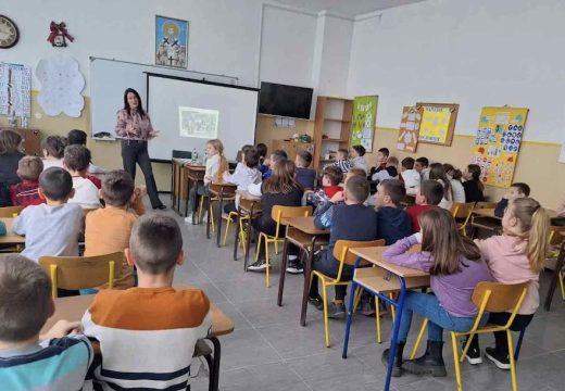 Policijska uprava Bijeljina: “Nasilje sve češće na internetu, posljedice teške”