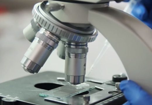 Podvig naučnika: Napravljeni prvi vještački, laboratorijski testisi