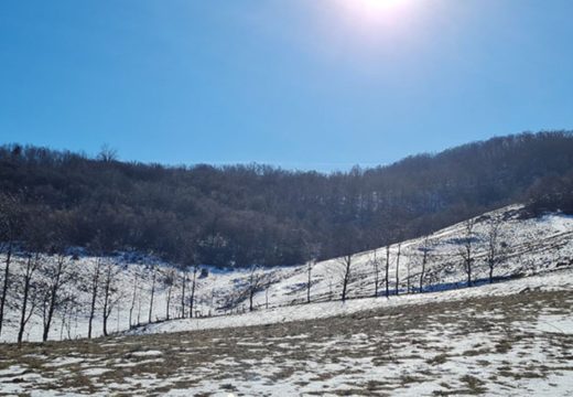 Od 1950. godine: Protekli januar bio najtopliji u istoriji