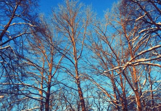 Visoko: Lopov ukrao bukvu