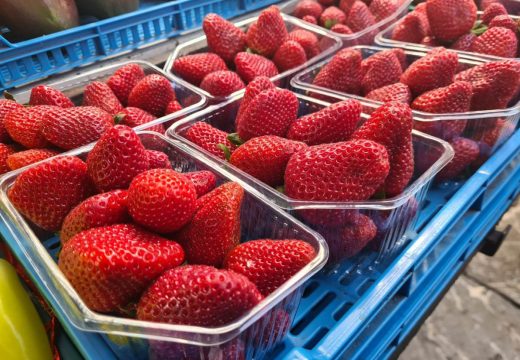 Fitosanitarna inspekcija: Srpska zabranila uvoz jagoda iz Albanije