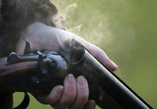 Zaštićene životinje: Evo kolike su kazne za krivolov u Srpskoj