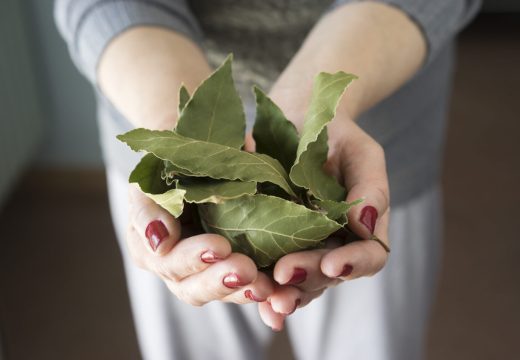 Ovo vjerovatno niste znali: Evo zašto treba dodati lovorov list u hranu