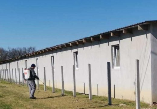 Semberija: Šta se mora odraditi prije useljavanja farmi na kojima je bila potvrđena afrička kuga? (Foto)