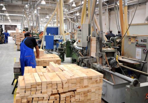 Postoji vjerovatnoća da se taj trend nastavi: Strmoglav pad izvoza drveta iz BiH