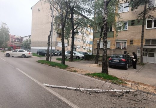 Vozači, oprez na putevima: Obrušavanje drveća i odroni prijete zbog jakog vjetra