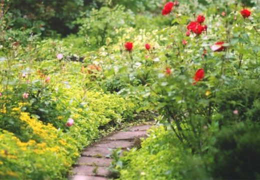 “April – mjesec čistoće”: Bijeljina bira najljepše uređeno dvorište