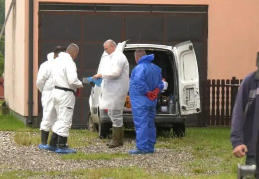 Upućen apel Gradskoj upravi: Afrička kuga na farmi sa 980 svinja u Dvorovima (Video)