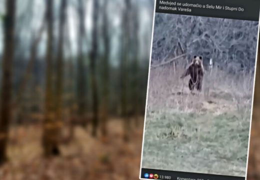 Ajde ruča moj medo: Čovjek iz sela u BiH sprijateljio se s medvjedom (Video)