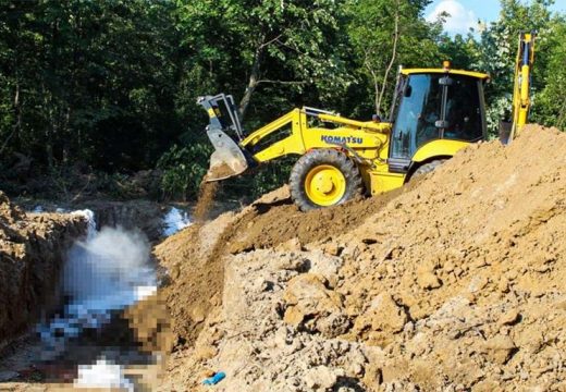 Bijeljina nema stočno groblje: “I po četiri dana čekalo se na zbrinjavanje zaraženih svinja”