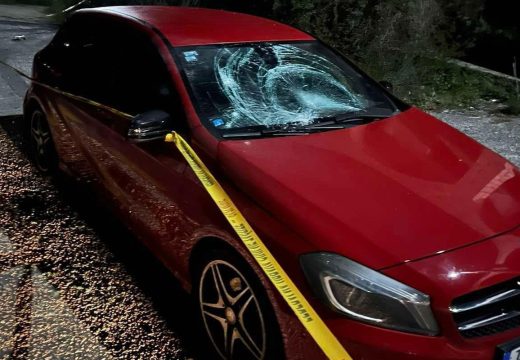 Dizdar: Četvorica momaka brutalno pretučena i mučena u Stocu