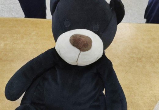 Granični prelaz Gradina: Srpski carinici u plišanom medi našli kilogram droge (Foto)