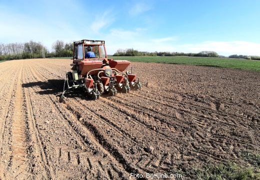 Sjetva kukuruza u Semberiji u punom jeku:  Za nekoliko dana kukuruz će biti zasijan