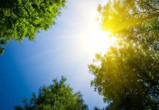 Izmjereno do 29 stepeni: Koji gradovi u BiH su danas najtopliji