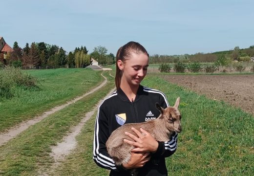 Sport: Teniska senzacija iz Gradiške gazi sve pred sobom